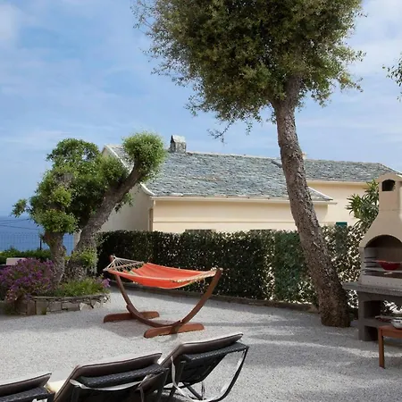 Maison De 2 Avec Piscine Privee Jacuzzi Et Terrasse A Maria Di Lota A 1 Km De La Plage *