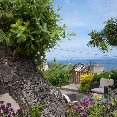 Maison De 2 Avec Piscine Privee Jacuzzi Et Terrasse A Maria Di Lota A 1 Km De La Plage 度假居